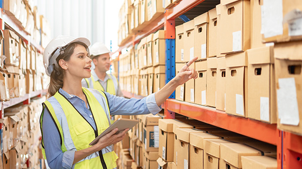 Produto Gestao De Stock No Comercio Por Grosso Winsig